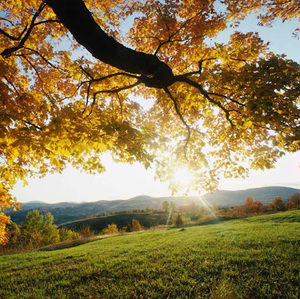 Meet your Posher, Olga